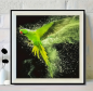 Preview: Diamond Painting Papagei Halsbandsittich